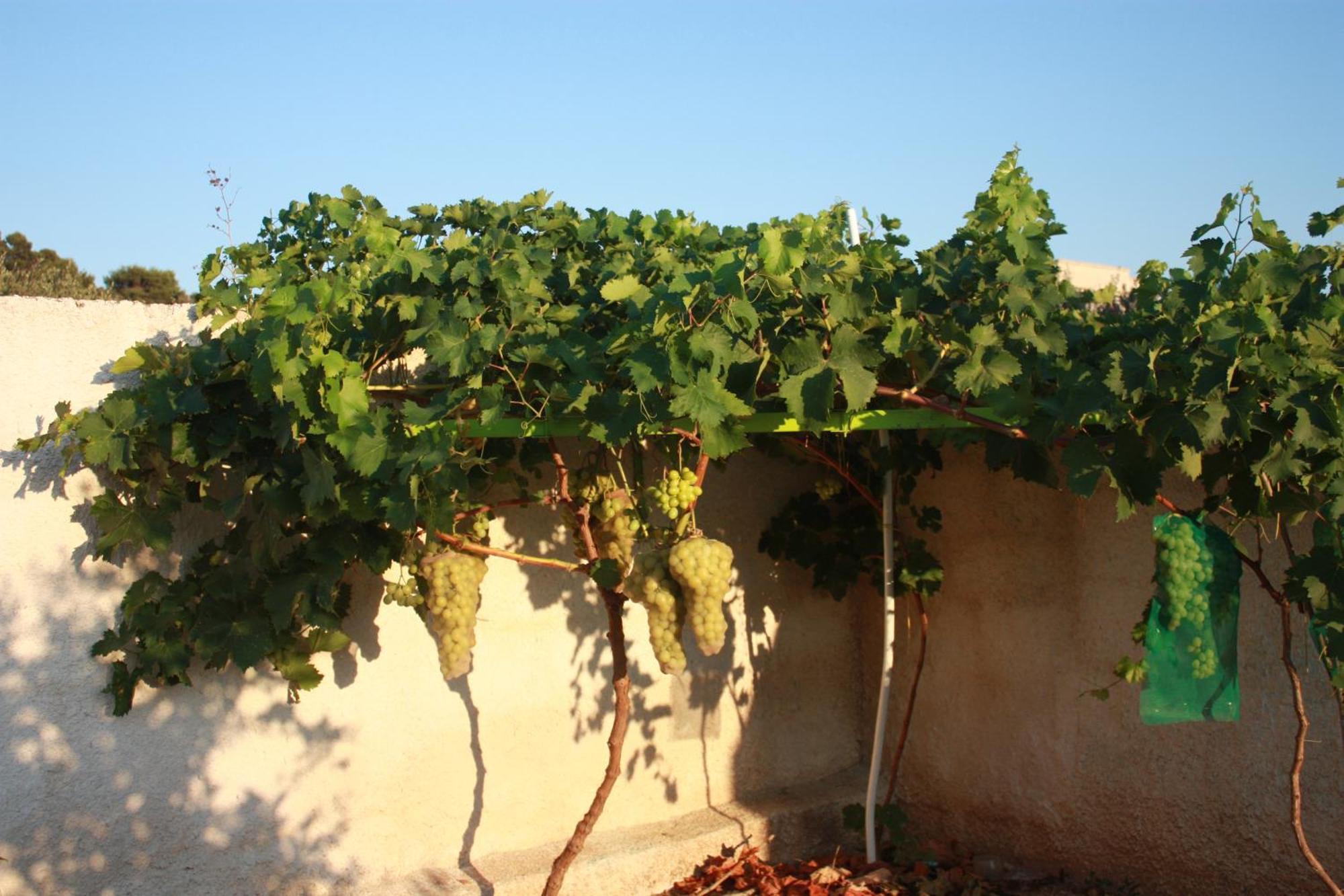הוילה Spano Casa Solare Rakalia מראה חיצוני תמונה